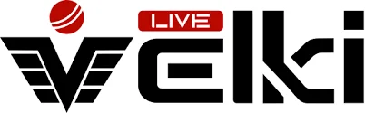 Velki Logo
